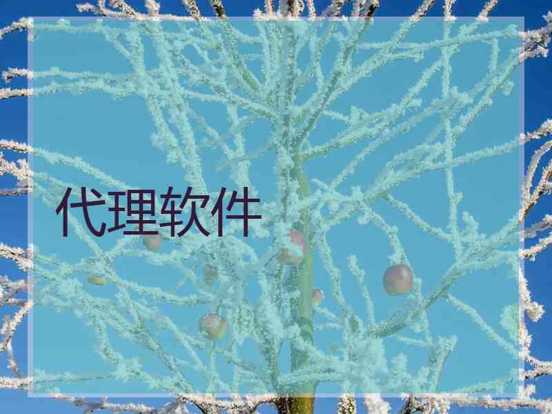 代理软件