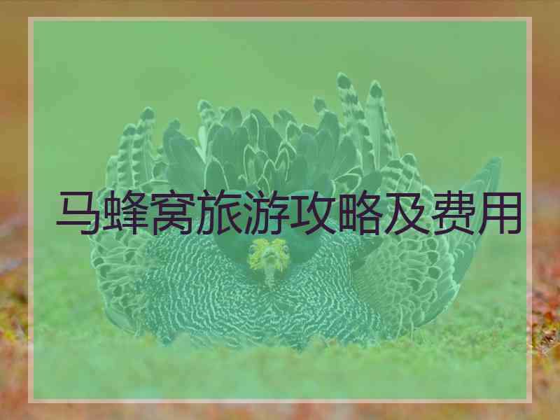 马蜂窝旅游攻略及费用