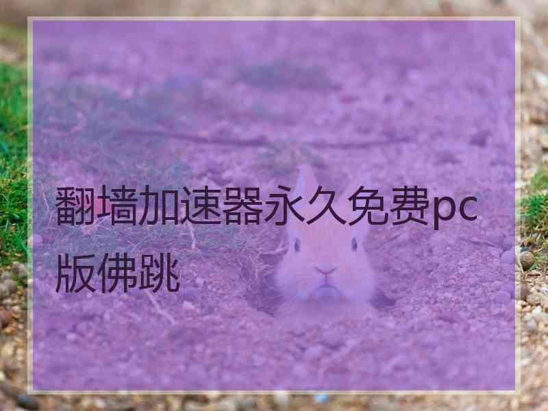 翻墙加速器永久免费pc版佛跳
