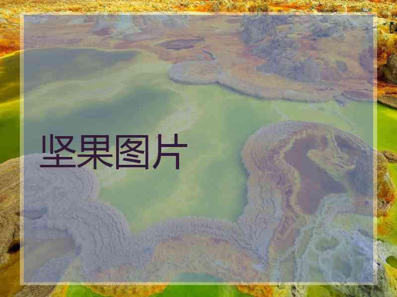 坚果图片