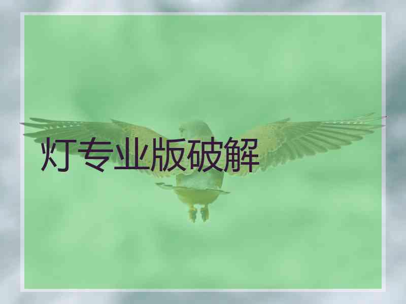 灯专业版破解