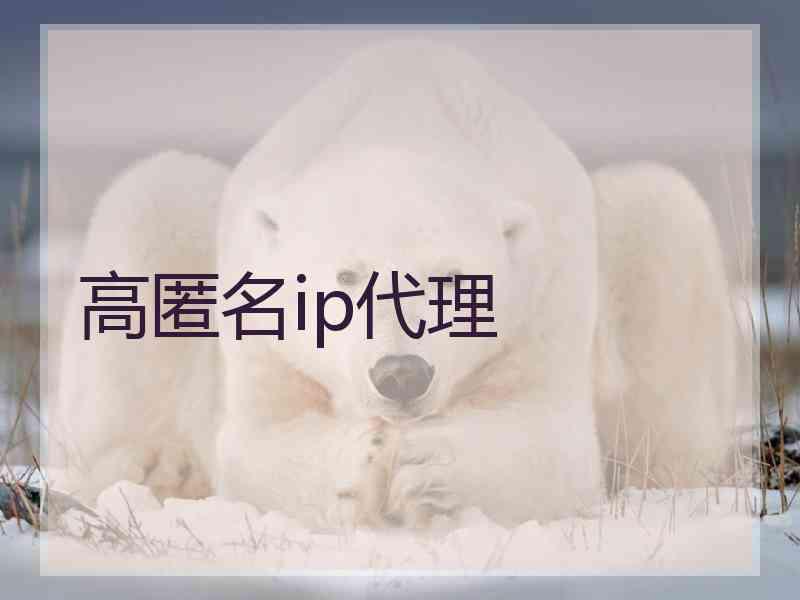 高匿名ip代理