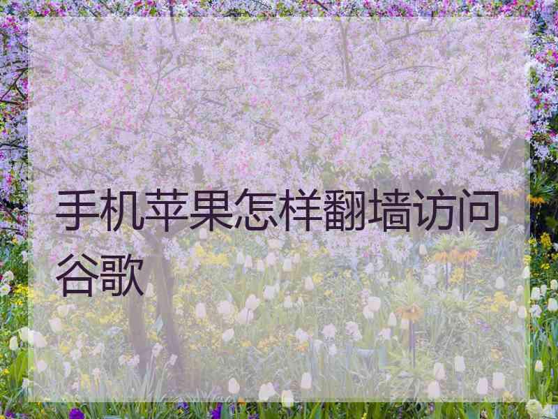 手机苹果怎样翻墙访问谷歌
