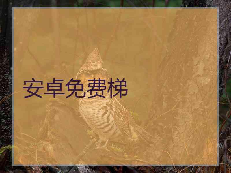 安卓免费梯