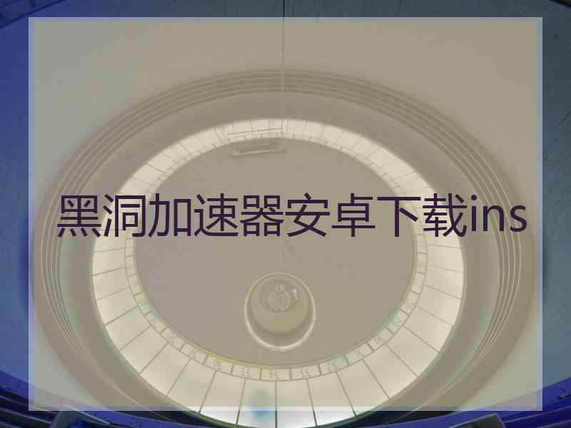 黑洞加速器安卓下载ins