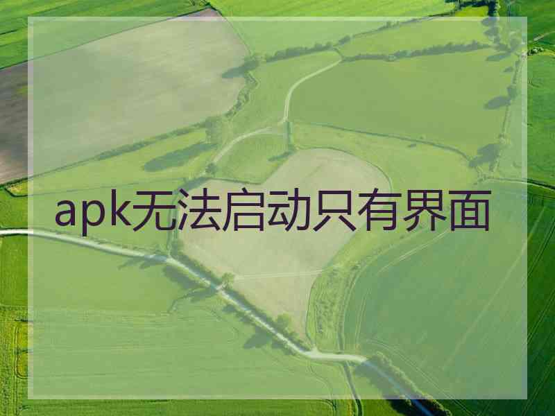 apk无法启动只有界面