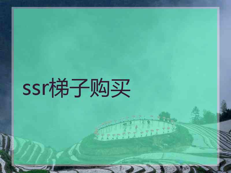 ssr梯子购买