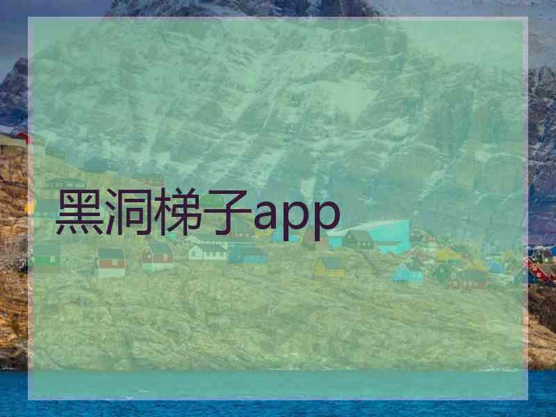 黑洞梯子app