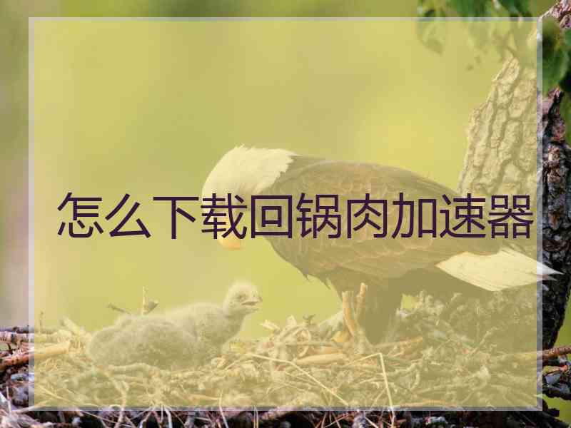 怎么下载回锅肉加速器