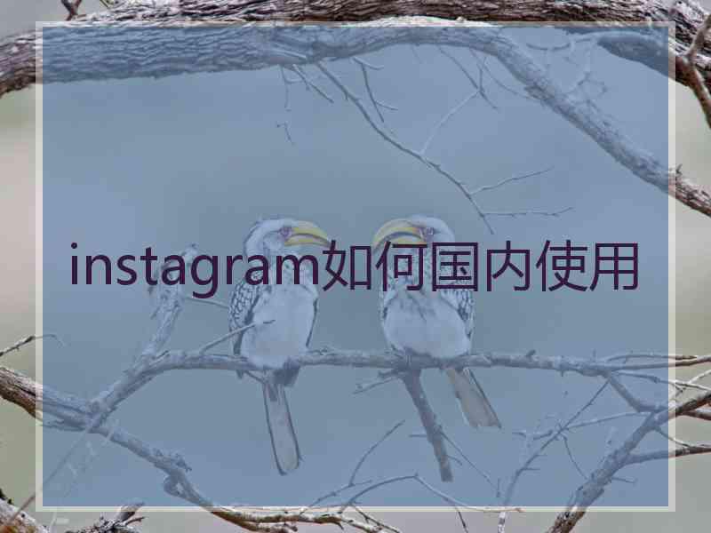 instagram如何国内使用