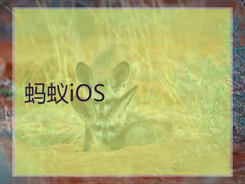 蚂蚁iOS