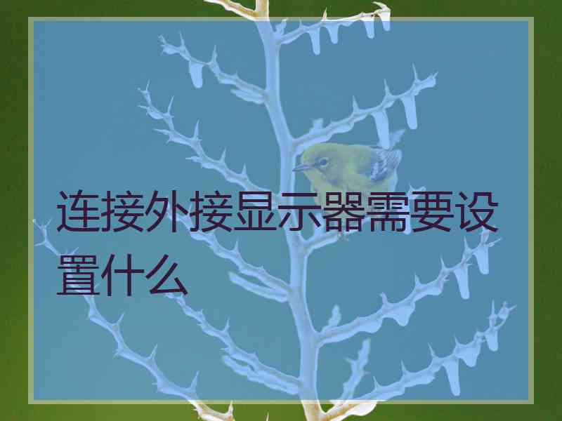 连接外接显示器需要设置什么
