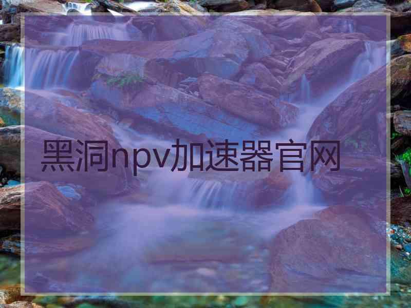 黑洞npv加速器官网