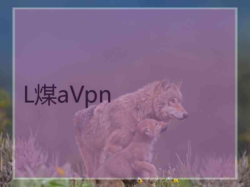 L煤aVpn