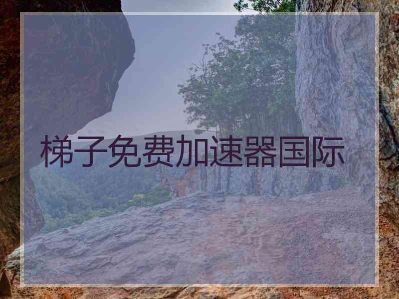 梯子免费加速器国际
