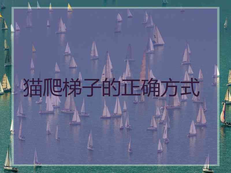 猫爬梯子的正确方式
