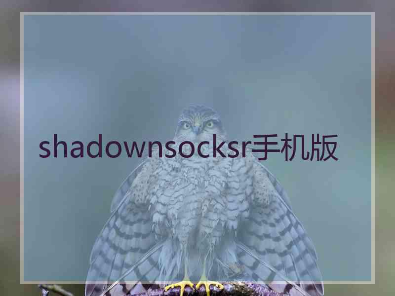shadownsocksr手机版