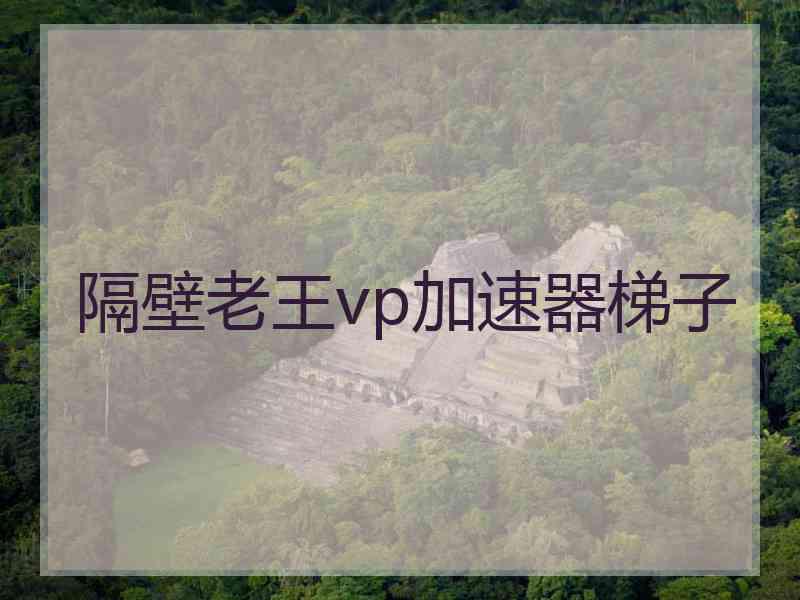 隔壁老王vp加速器梯子