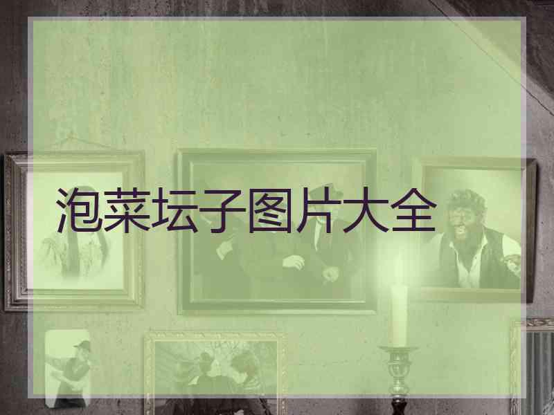 泡菜坛子图片大全