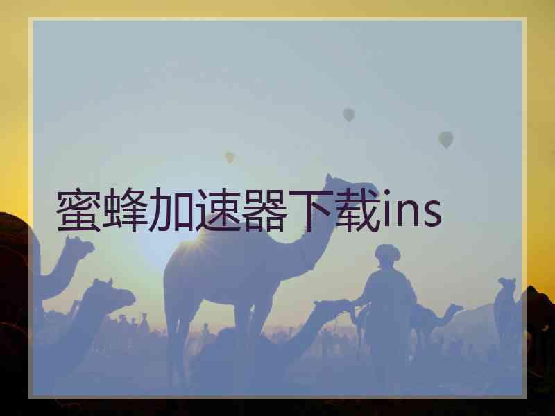 蜜蜂加速器下载ins