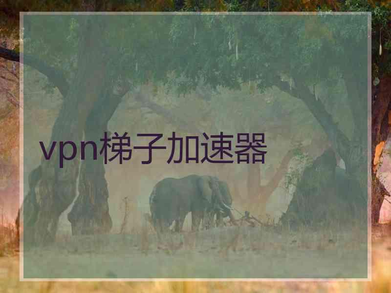 vpn梯子加速器