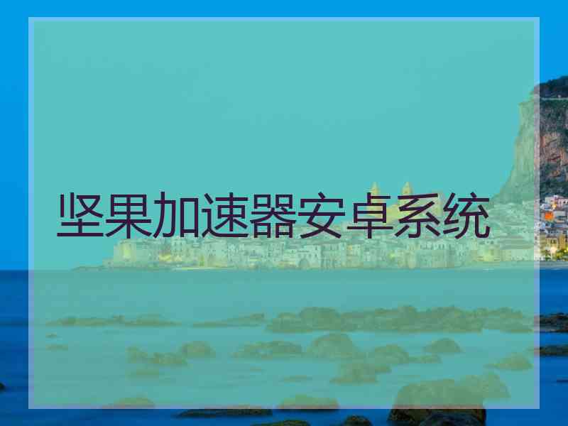 坚果加速器安卓系统