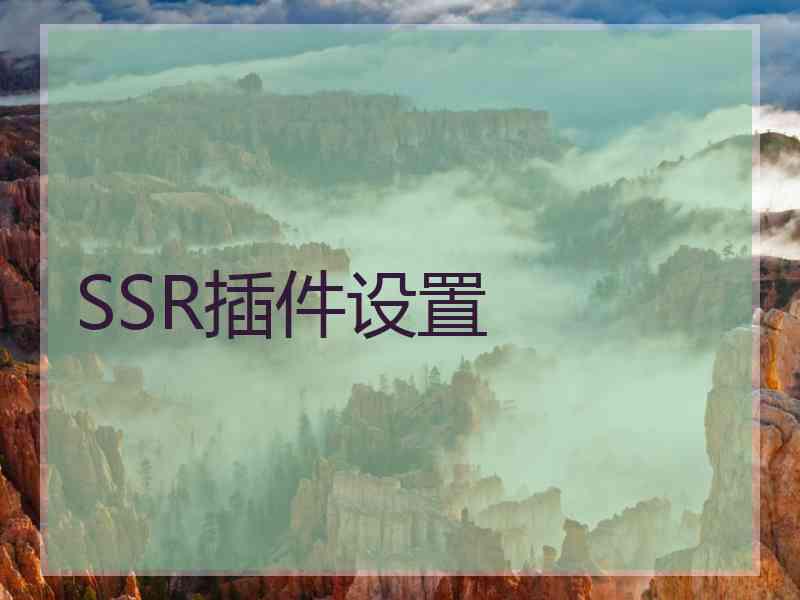 SSR插件设置
