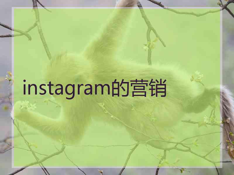 instagram的营销