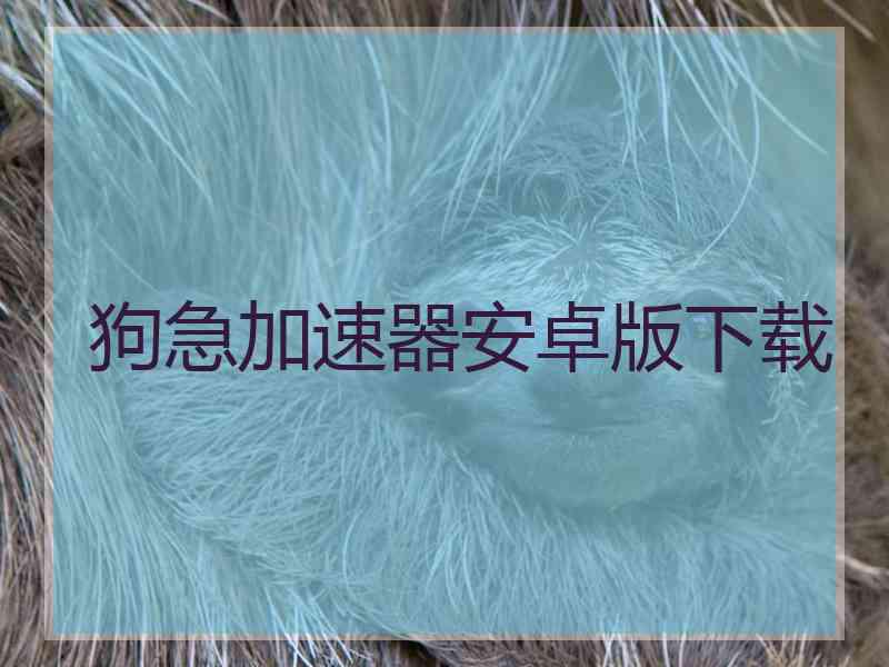 狗急加速器安卓版下载