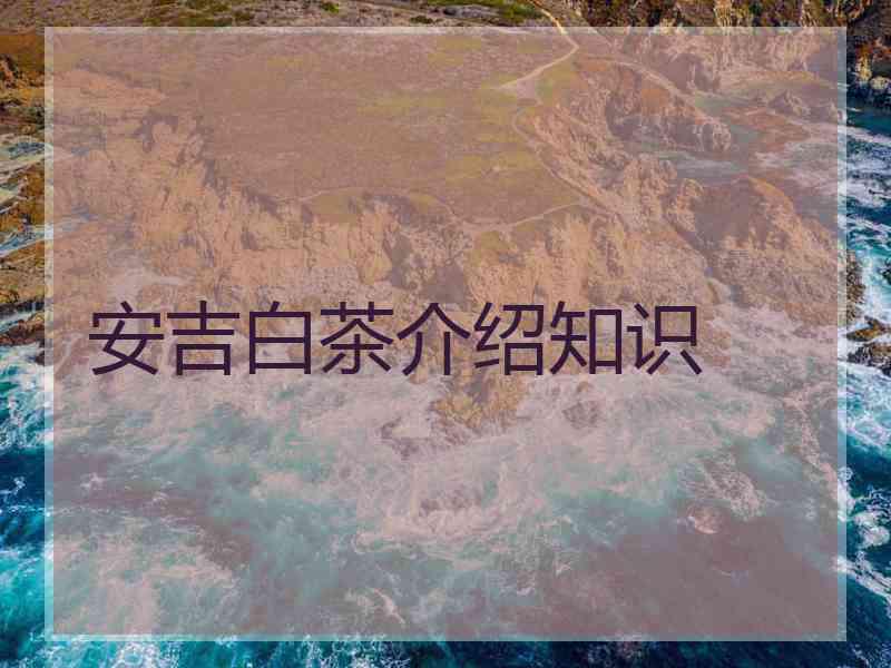 安吉白茶介绍知识