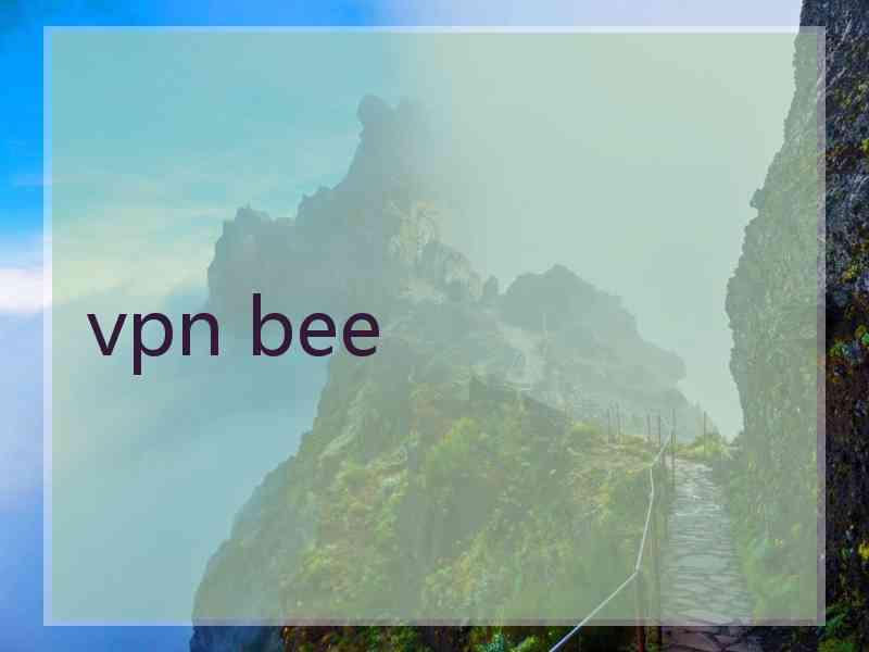 vpn bee