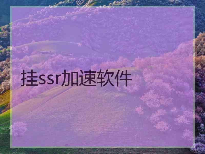 挂ssr加速软件