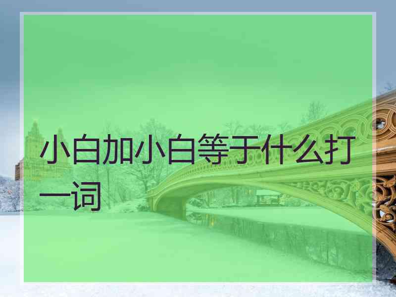 小白加小白等于什么打一词
