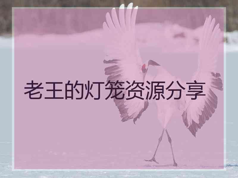 老王的灯笼资源分享