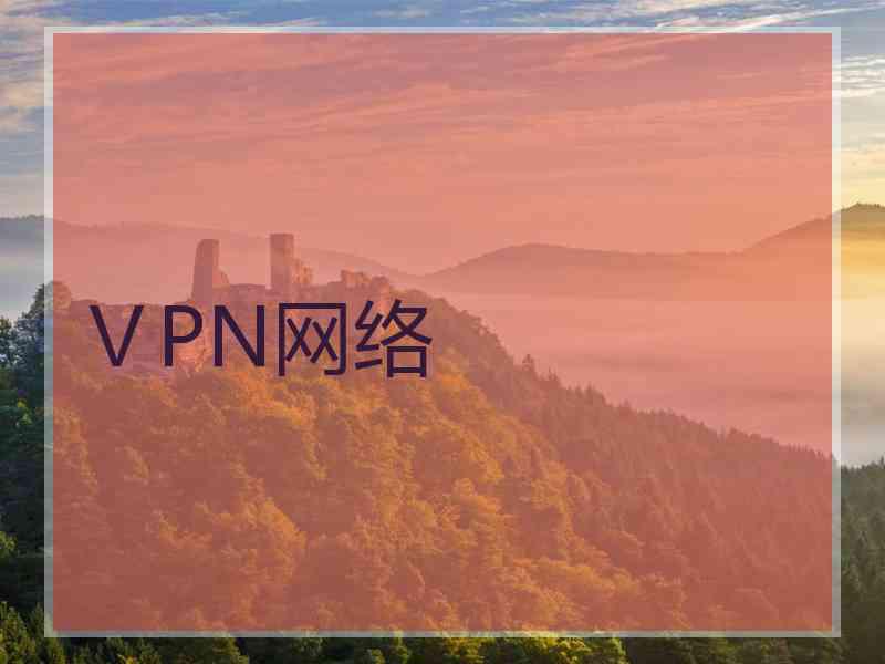 ⅤPN网络