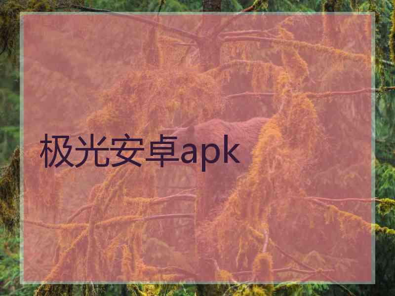 极光安卓apk