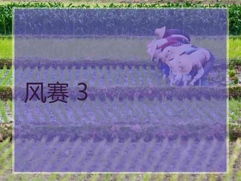 风赛 3