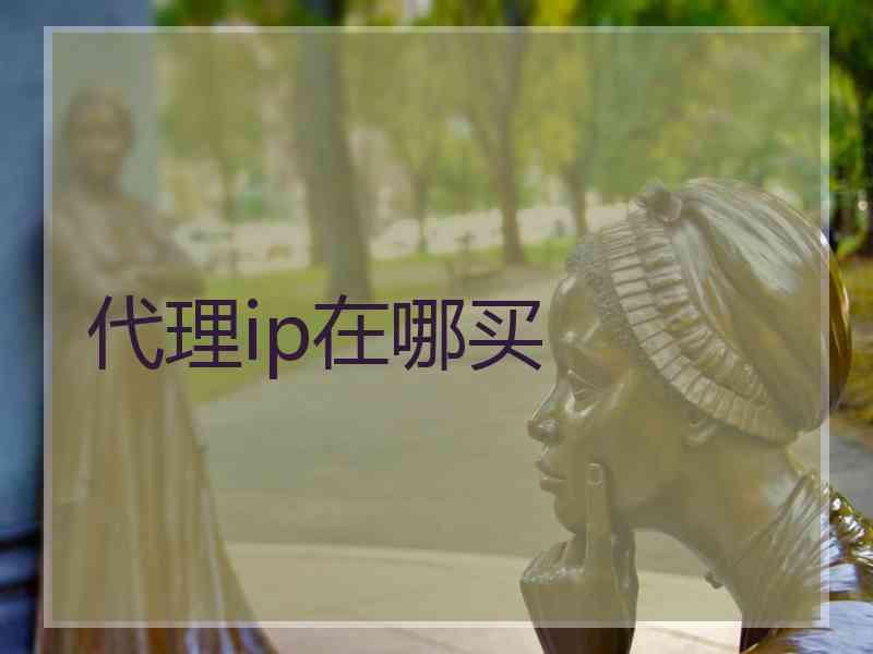 代理ip在哪买