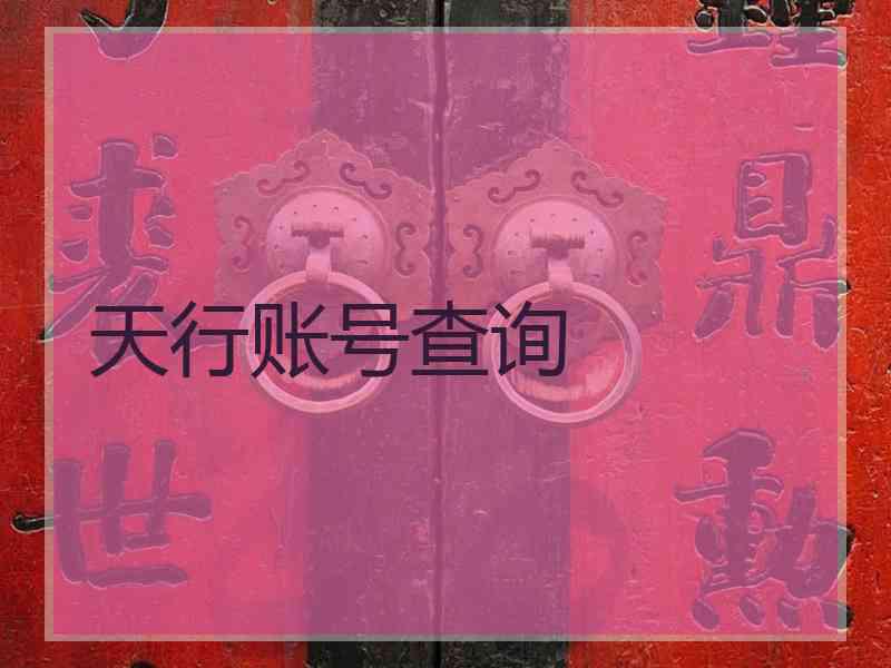 天行账号查询