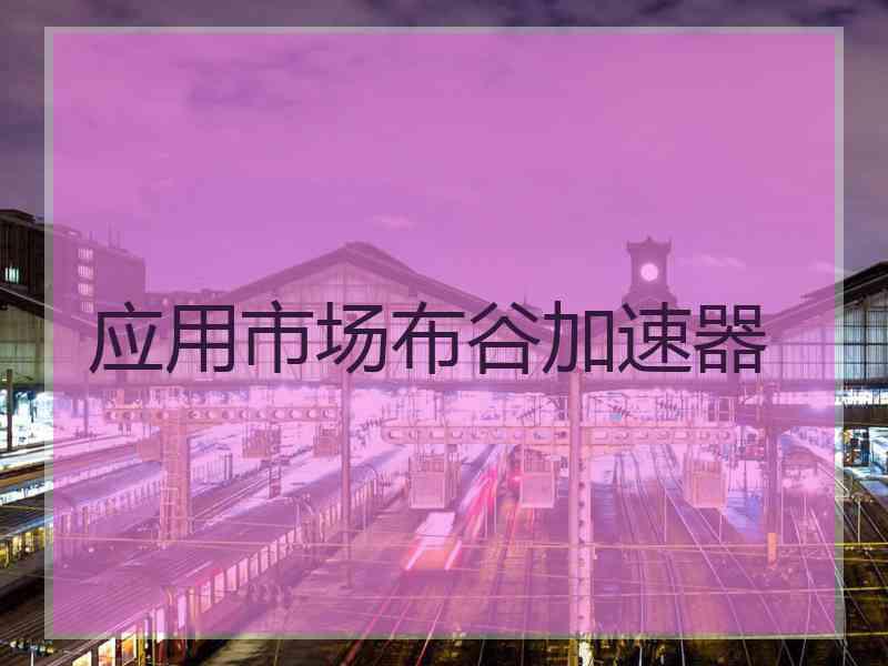 应用市场布谷加速器