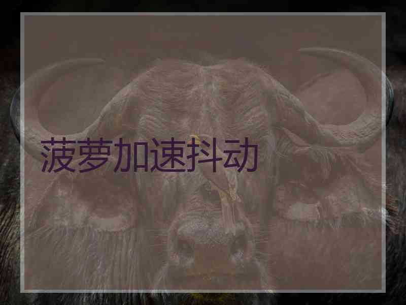 菠萝加速抖动