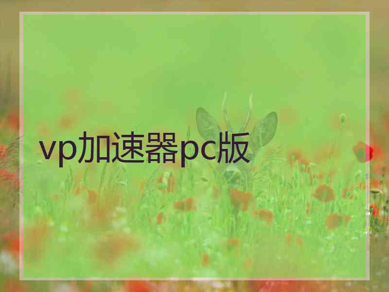 vp加速器pc版