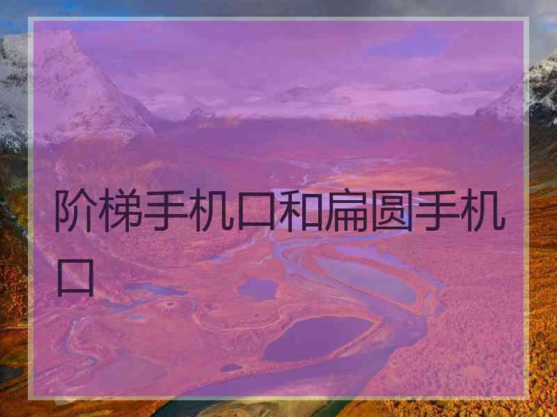 阶梯手机口和扁圆手机口