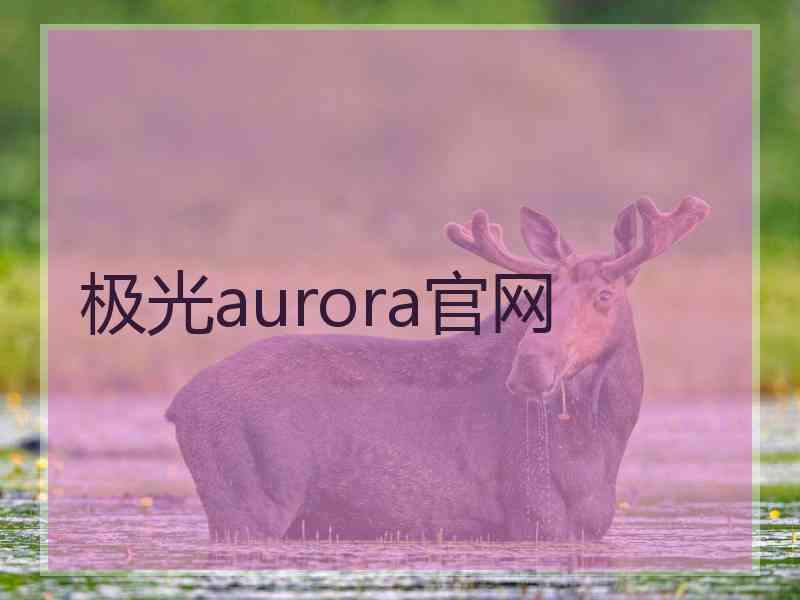 极光aurora官网