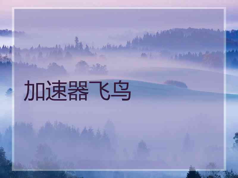 加速器飞鸟