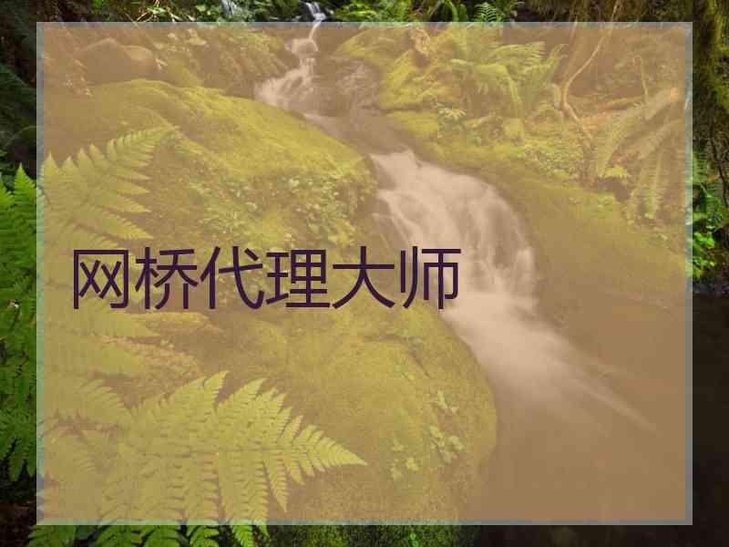 网桥代理大师
