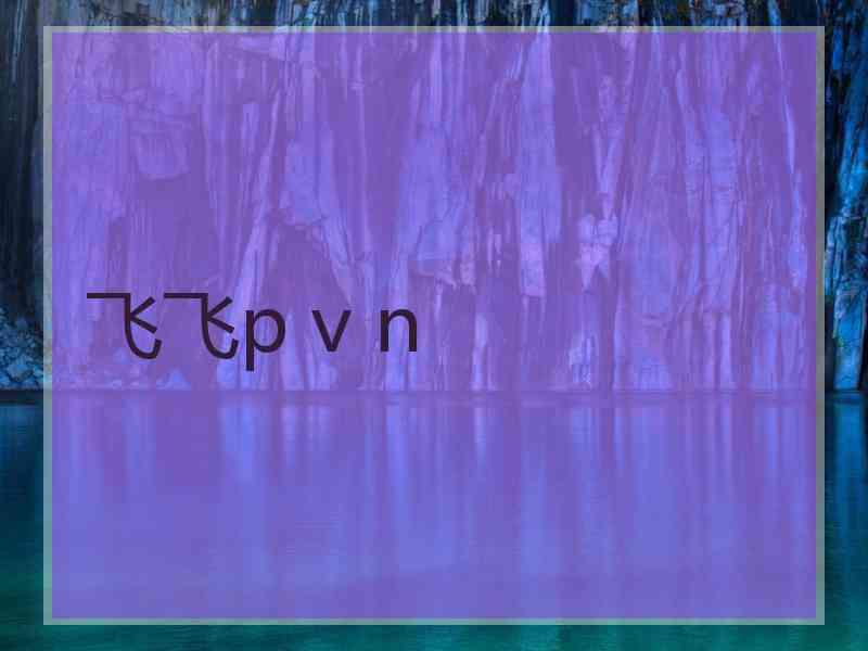 飞飞p v n