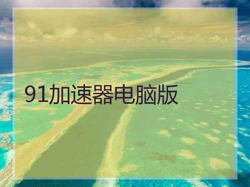 91加速器电脑版