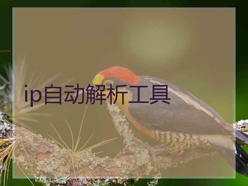 ip自动解析工具