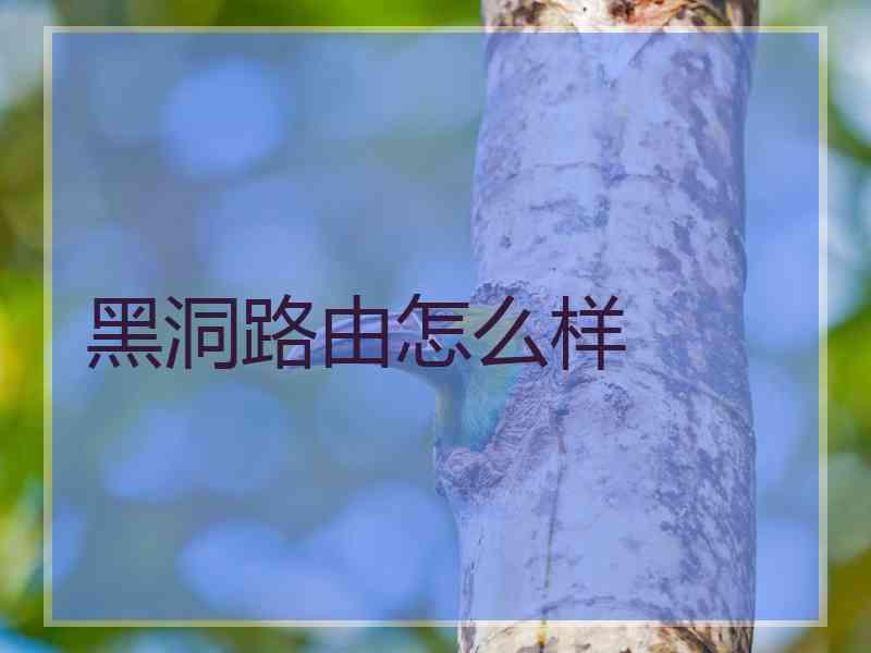 黑洞路由怎么样